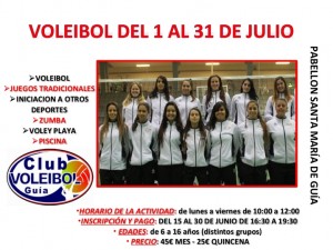 ESCUELA DE VERANO VOLEIBOL